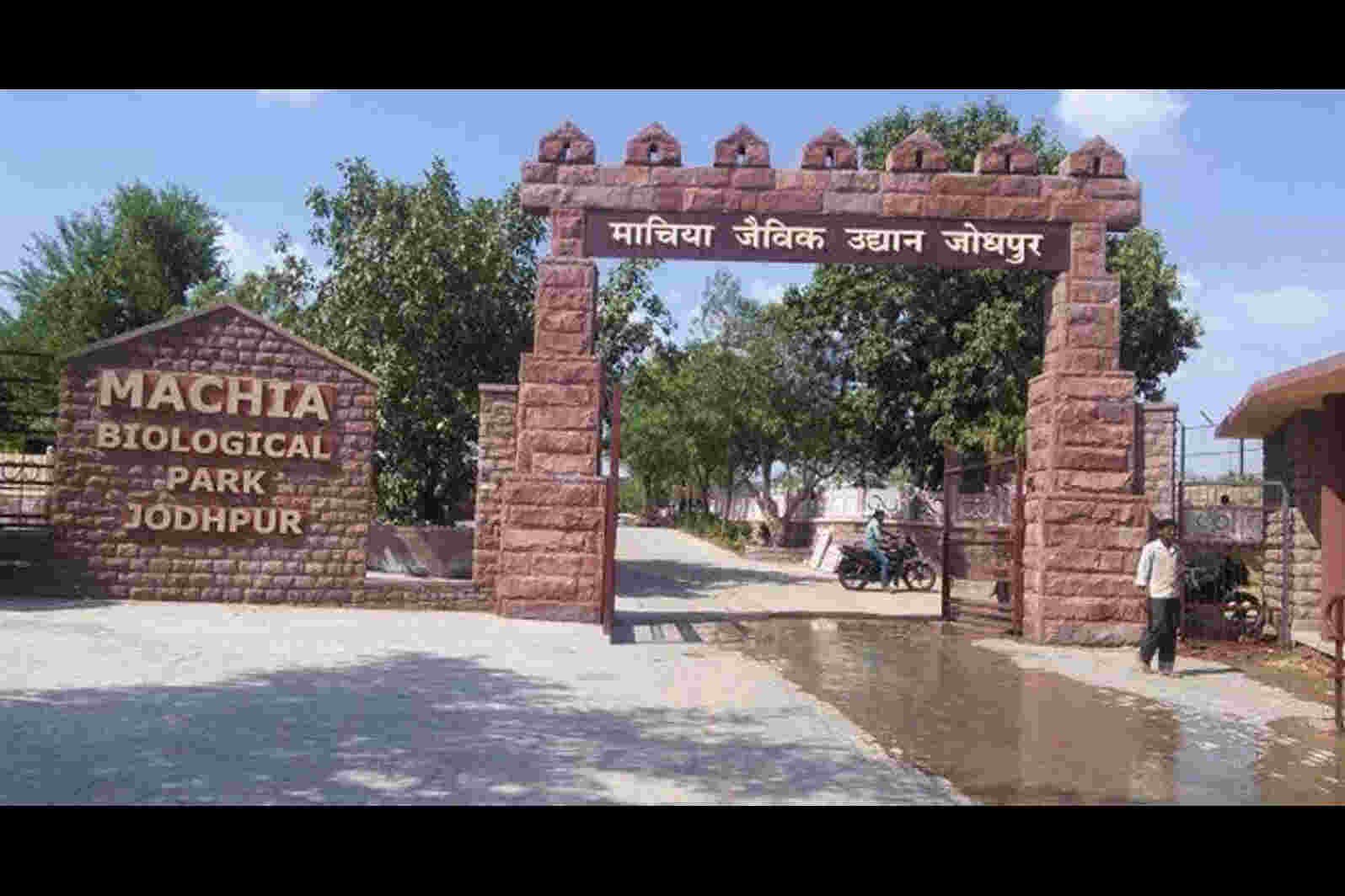 Machiya Safari Jodhpur Entry Fee