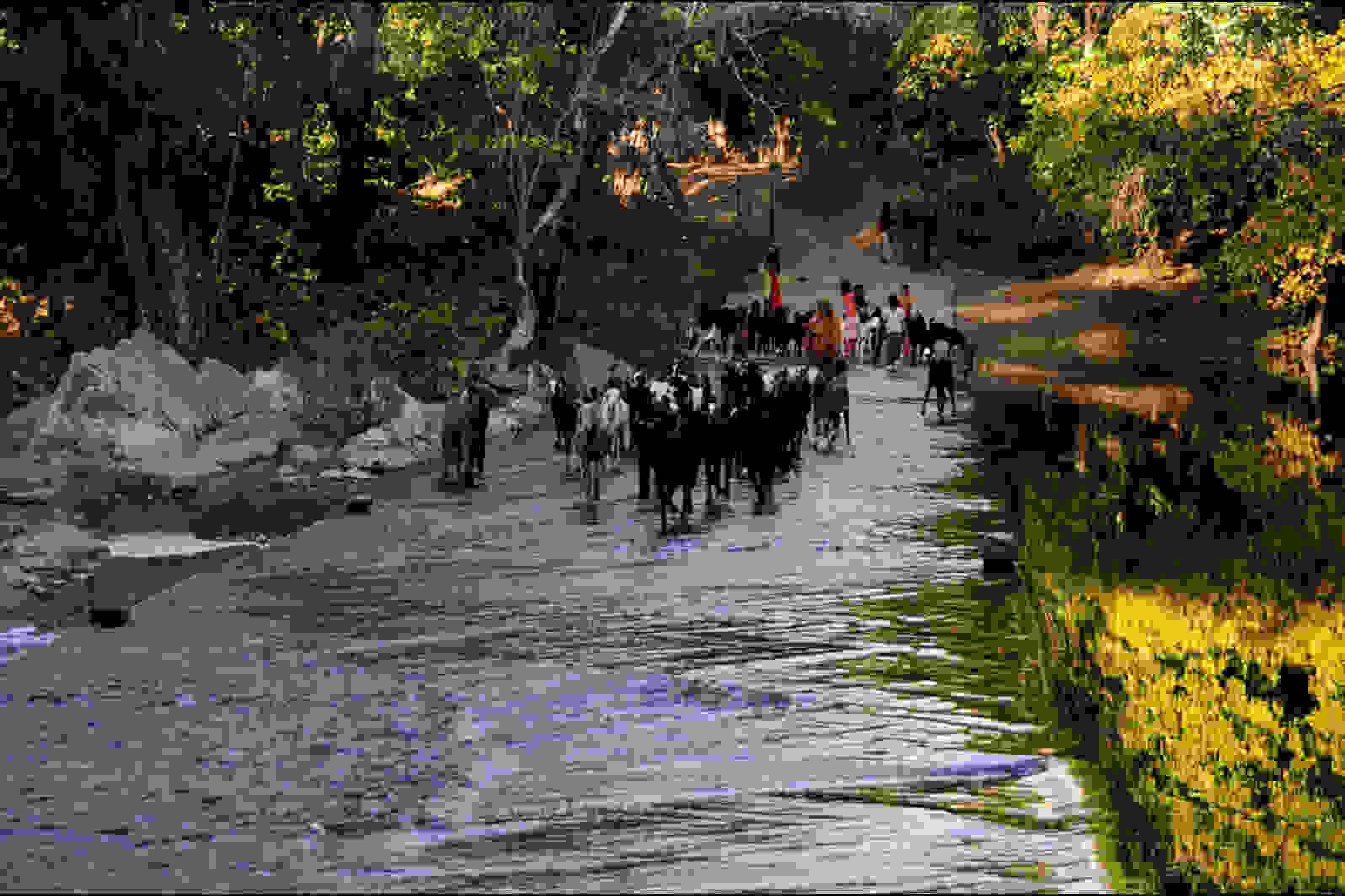 Polo Forest Gujarat Entry Fee