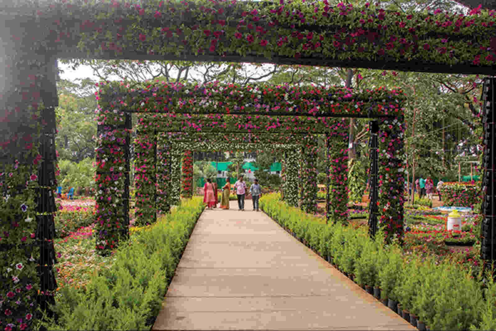 Semmozhi Poonga Botanical Garden Chennai Entry Fee
