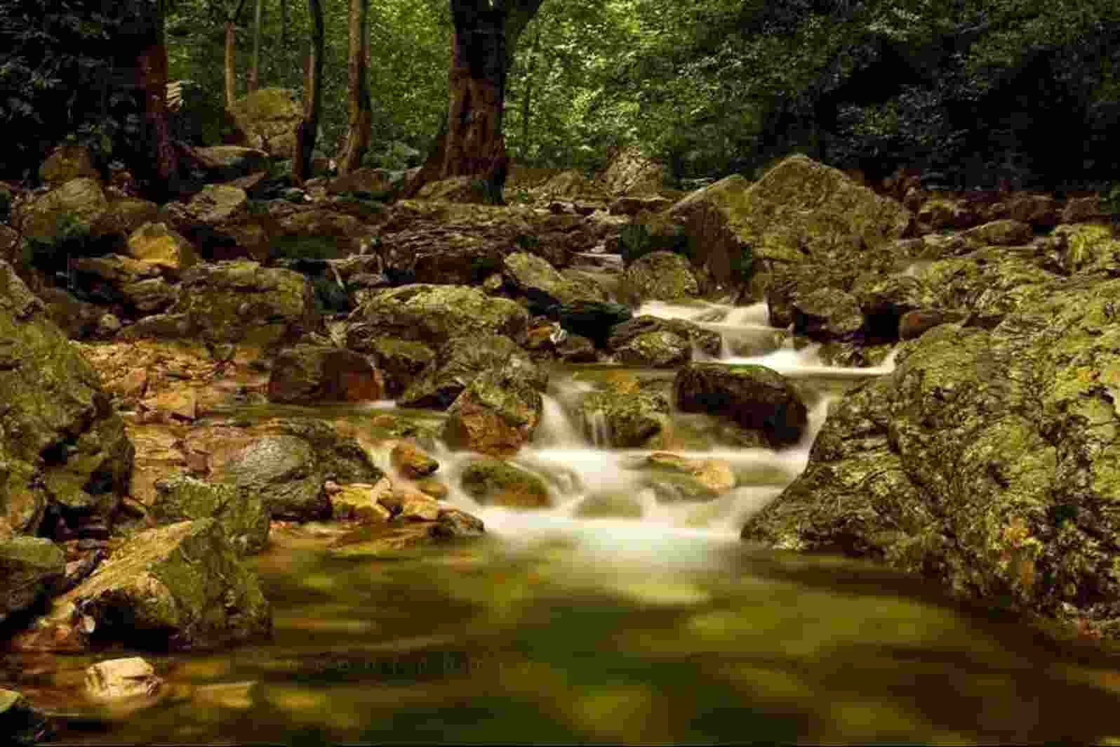 Tada Falls Tirupati Entry Fee