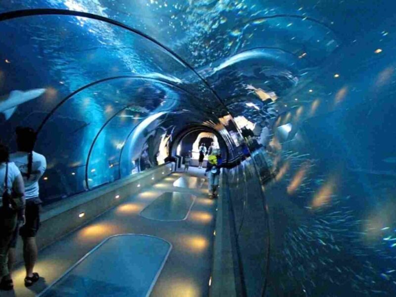 Bangalore Aquarium Entry Fee