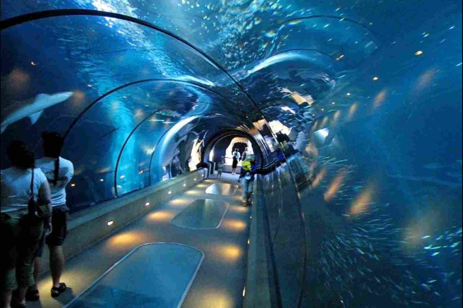Bangalore Aquarium Entry Fee
