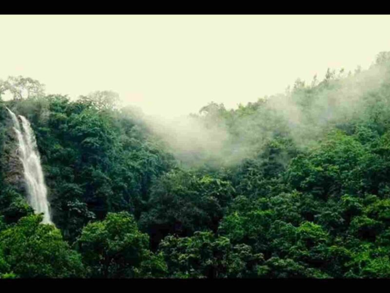 Ananthagiri Hills Telangana Entry Fee
