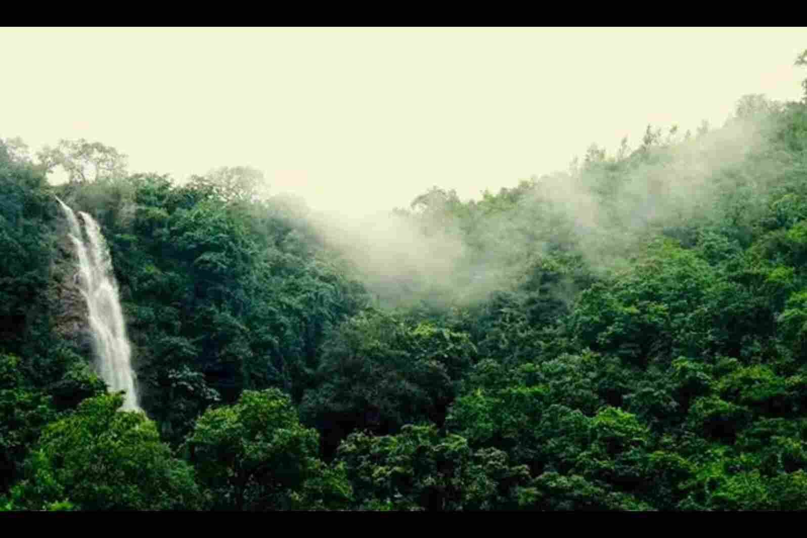 Ananthagiri Hills Telangana Entry Fee