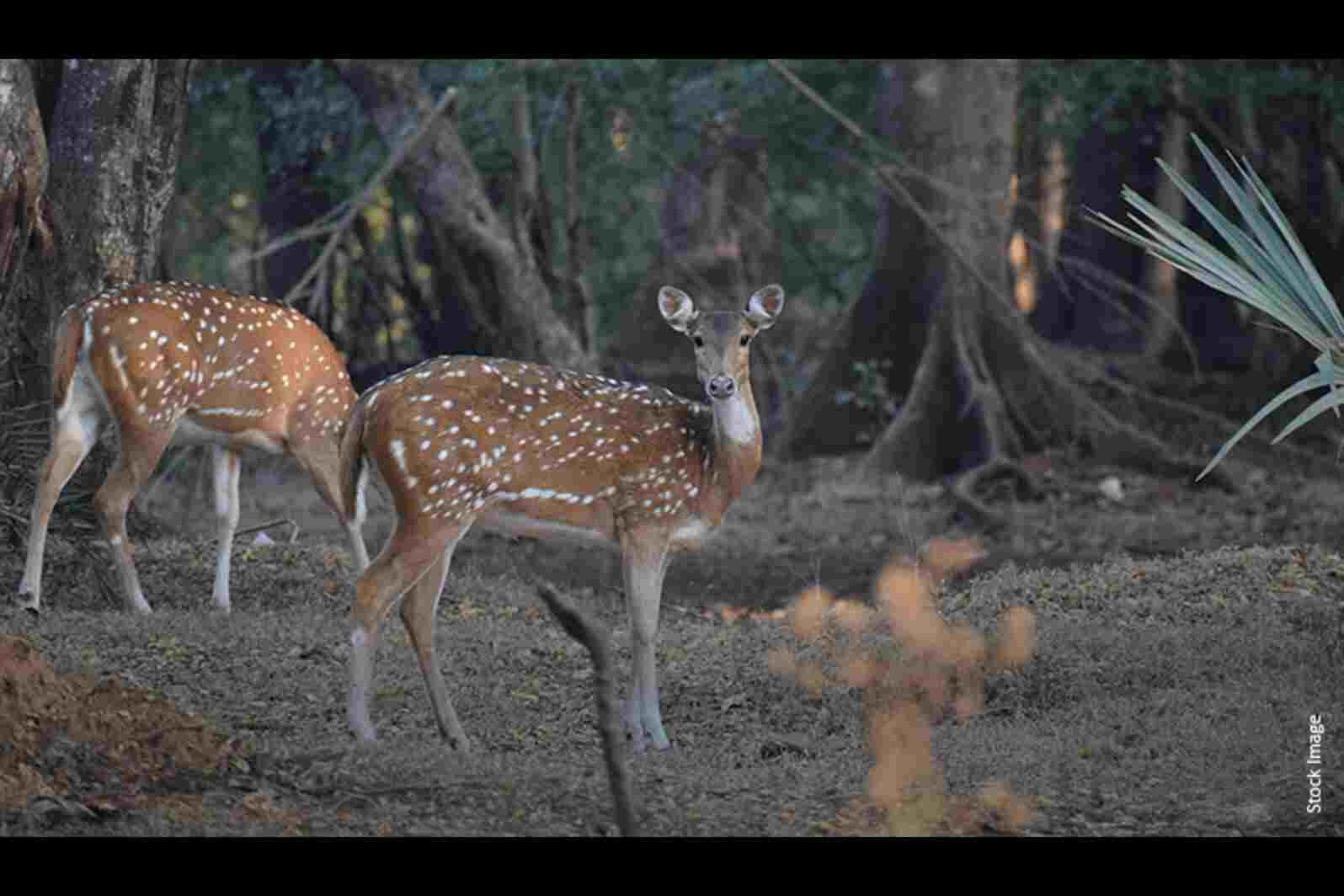 Rani Baug Mumbai Entry Fee