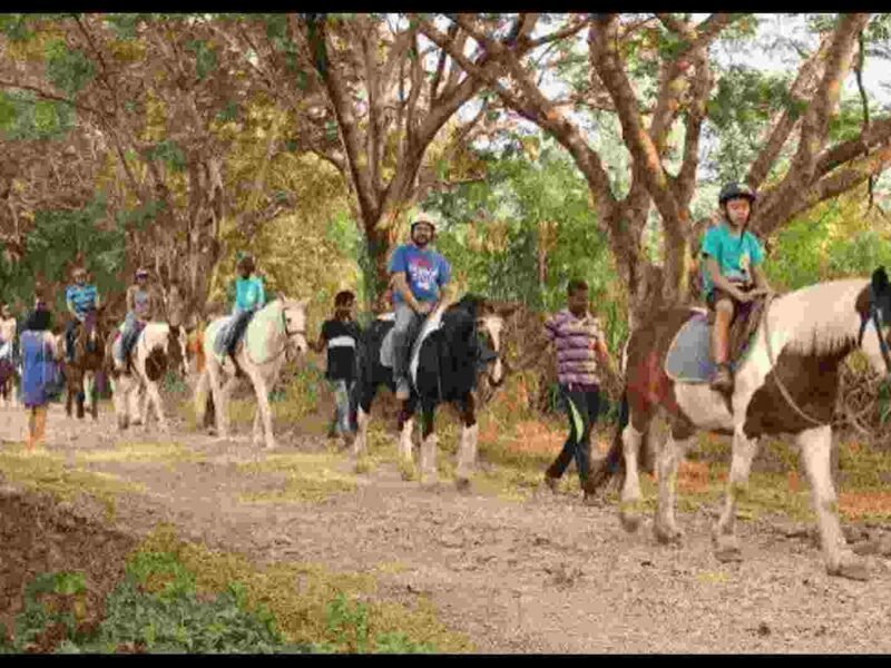 Japalouppe, Maharashtra Entry Fee