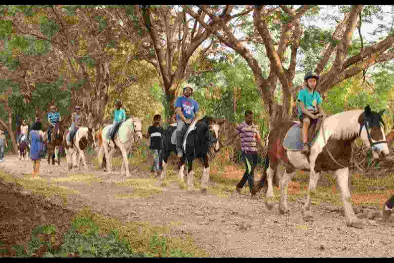 Japalouppe, Maharashtra Entry Fee