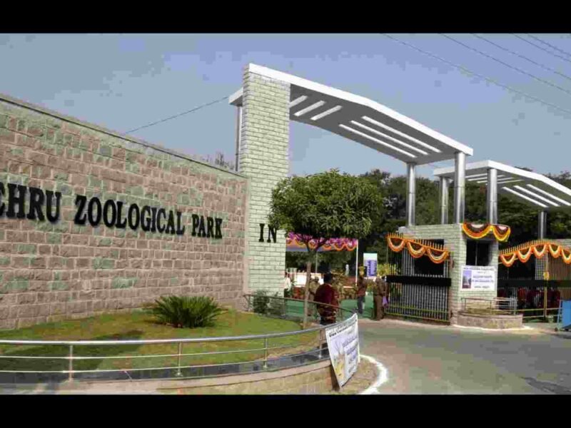 Nehru Zoological Park Telangana Entry Fee