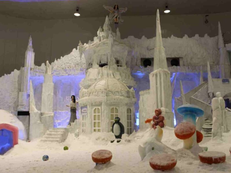 Snow City Bangalore Entry Fee