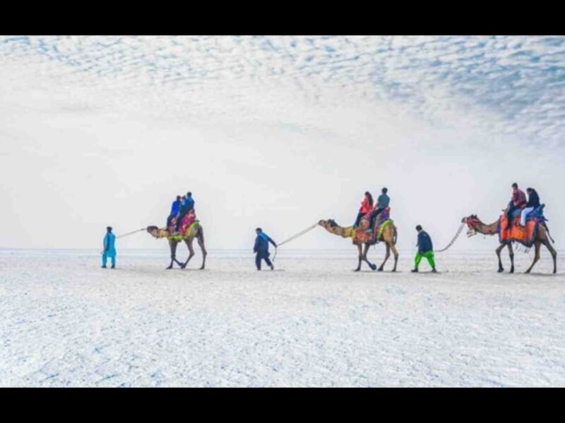 White Rann of Kutch Entry Fee