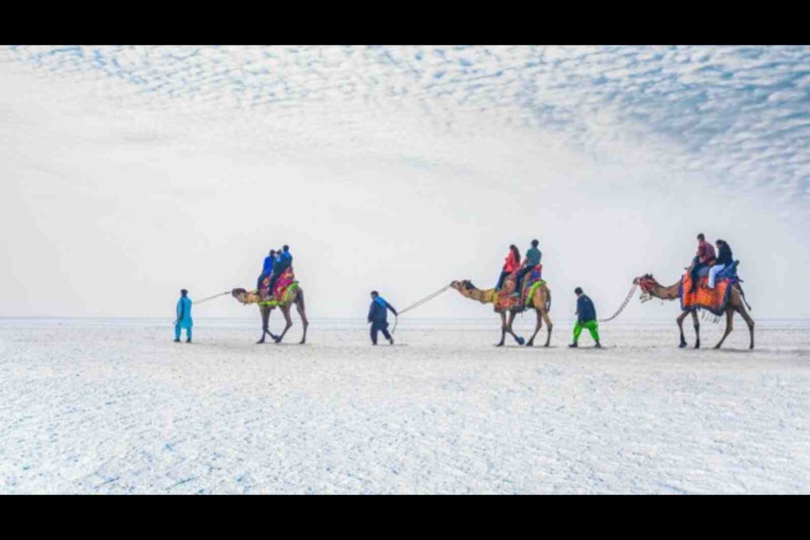 White Rann of Kutch Entry Fee